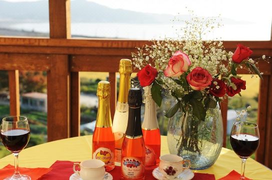 펜션 앞 바비큐 시설