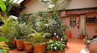 Hotel San Luis Hotels in 