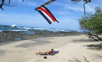 You Imagine Costa Rica Our Location Being on the Beach is What You Imagine