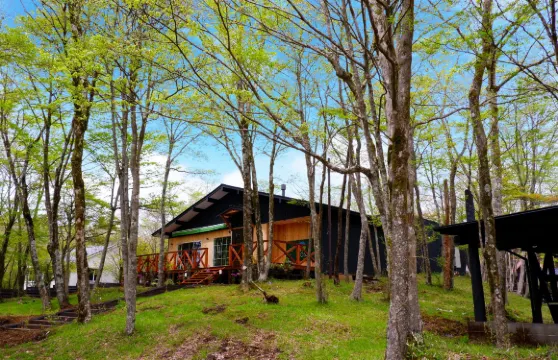 莫斯朱裏吉營舍度假村