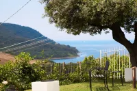 Hotel Myrtus