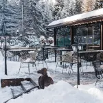 Villa Malina Hotels in Borovets