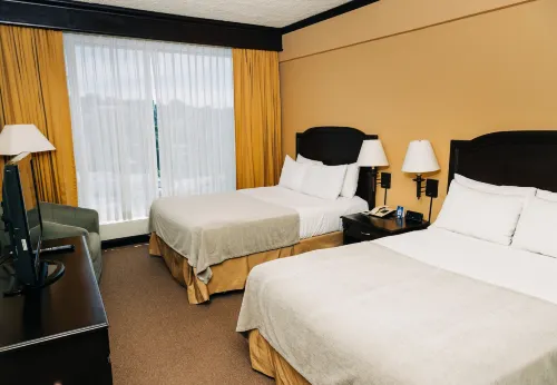 Plaza Hotel and Suites - Pools