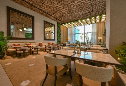 3. 오닉스 로타나..