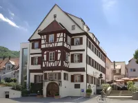 Hotel-Restaurant Anne-Sophie Hotels in Kupferzell