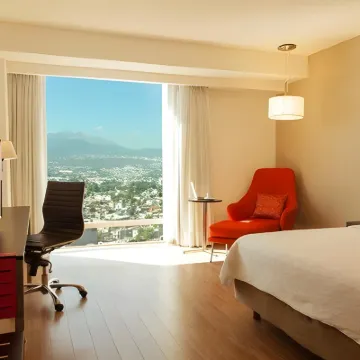 Fiesta Inn Periferico Sur Hotels near Museum of El Carmen