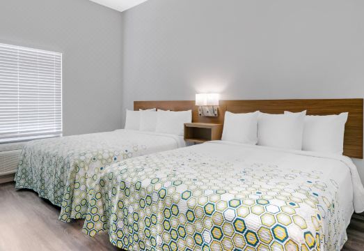 HomeTowne Studios Tampa