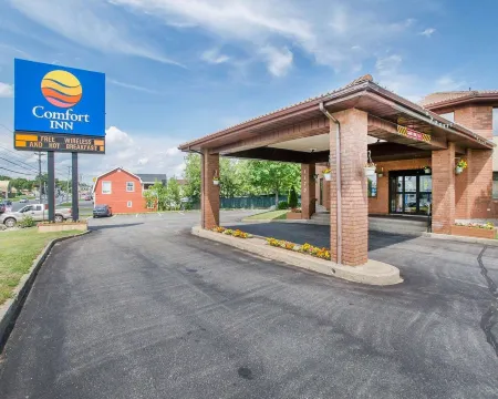 Comfort Inn Отели в г. Батерст