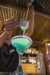 Paros Palace - bar