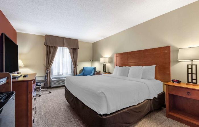 Comfort Inn Civic Center