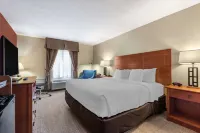 コンフォート イン オーガスタ