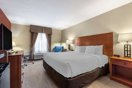 Comfort Inn Civic Center