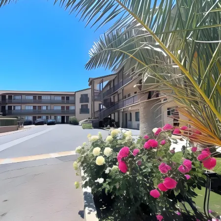 Palms Inn & Suites