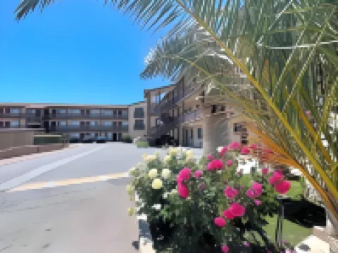 Palms Inn & Suites