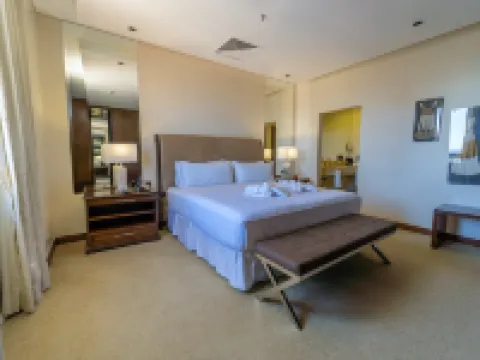 Crowne Plaza 亞松森 亞鬆森酒店