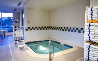 Hilton Garden Inn Chicago O'Hare Airport - Hot Tub