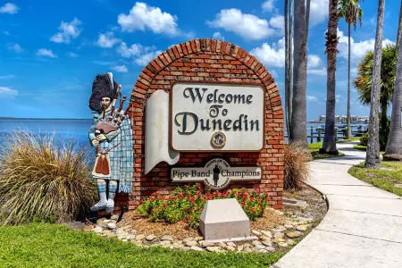 Palm Harbor Getaway • Salt Pool • Xbox • Near Beaches & Blue Jays