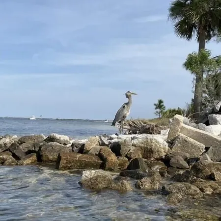 Aqua Diver is a darling 1 BR house on the East end of Panama City Beach, Florida
