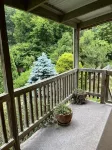 Shadybrook Alpine Apartment and garden