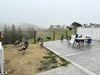 Beautiful Place and View to Rest and Clear Your Mind1