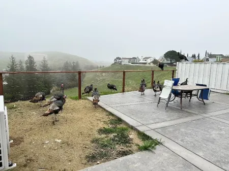 Beautiful Place and View to Rest and Clear Your Mind1