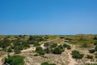 Oceanfront, Pet- & Handicap- Friendly Home w/ Heated Pool, Elevator & Game Room