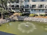 Cozy and warm condo -steps to the beach and Coligny Plaza