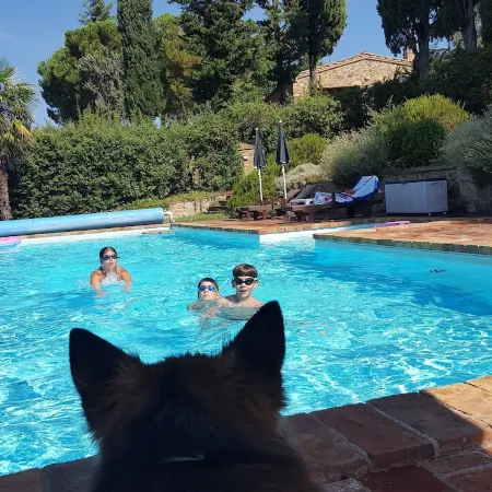 Idyllic guest house in Tuscan country house style with swimming pool Отели в г. Синалунга
