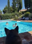 Idyllic guest house in Tuscan country house style with swimming pool