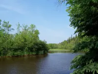Woodsy Personal Retreat Cabin - "Quietude"