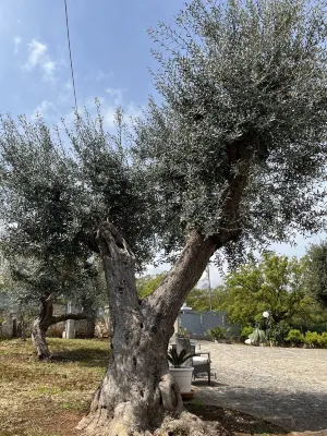 4 Bedroom Villa in Selva di Fasano Hotel a Selva di Fasano