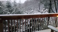 Incredible Grandfather Mountain Views!