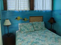 Paradise On a Budget!