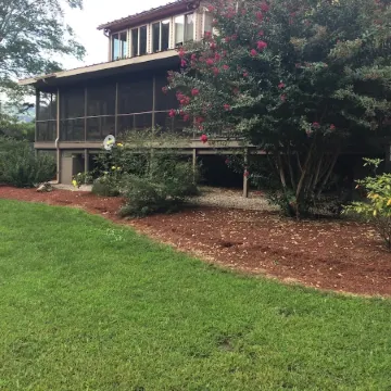 Al's Place - A place to Dream