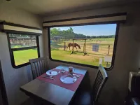 Like Horses?  Enjoy Glamping on Our Horse Ranch and Rescue. Hotel a Johnson County
