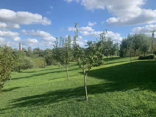 Bio Resort Mediterraneo