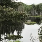 Discover Serenity: Your Ultimate Hidden Retreat for a Cozy Vacation Getaway.