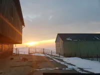 Farmstay with pool and firepit