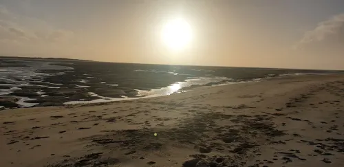 Nice studio with sea view