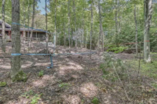 Hand Hewn Log Cabin Newly Renovated, rustic-modern design