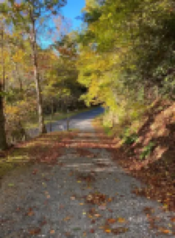 Cozy Mountain Getaway in Valle Crucis, NC
