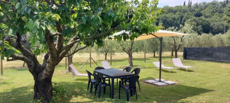 House with pool and private park in Valpolicella