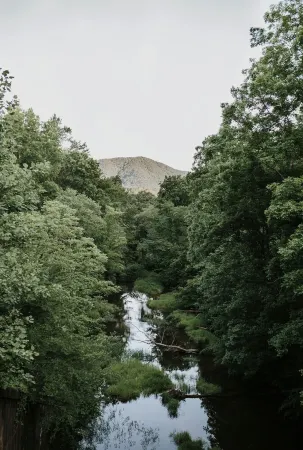 Chief of Ladiga Creekside Cottage