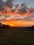 NEW! Extraordinary, Ocean View Retreat. Pool Golf Tennis Pickleball.