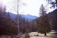 Historic Family Cabin Just 0.4 Miles from Mt. Rainier Entrance
