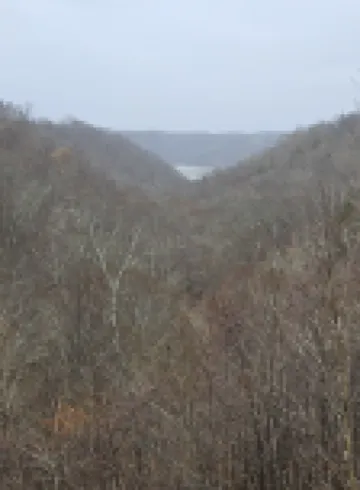 Lake getaway less than 1 mile from Dale Hollow lake.