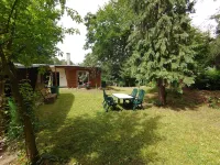 Forest house on a large plot