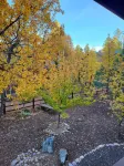 Beautiful Large cabin on 1/4 acre w/covered decks