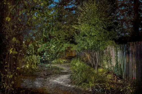 Convenient walk to UC, Haas, MSRI, Simons and Goldman School. Historic home.