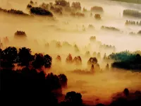 Bavarian Cabin @ HomeAway Ranch & Noah Animal Sanctuary